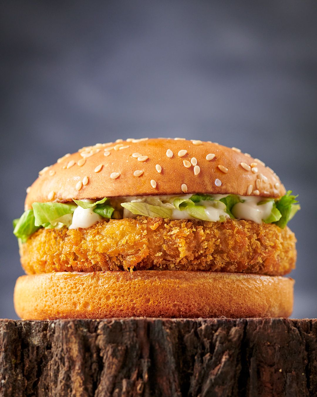 Crispy Chicken Patty Burger